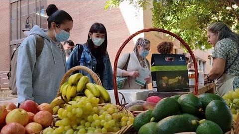 Eco-Market in Valencia