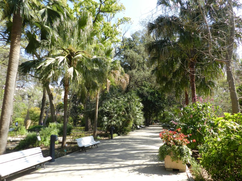 Jardin Botanico Valencia