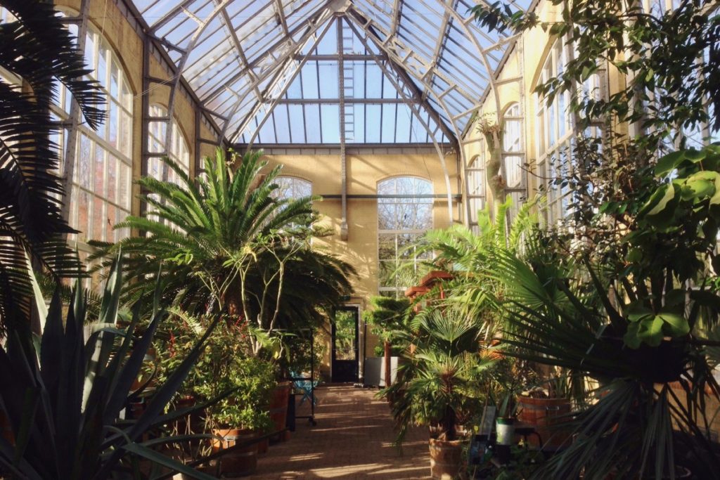 Greenhouse at Jardin Botanico