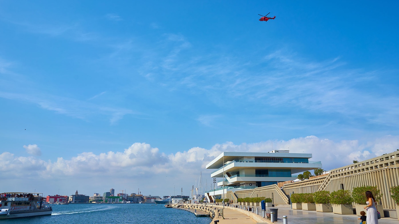 Take A Walk On The Mild Side Valencia To Create A New Forest By The